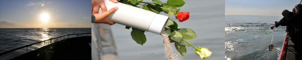 asverstrooing en asbijzetting door aqua air services