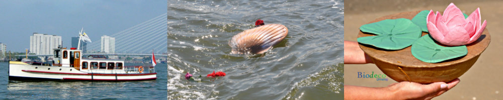 asverstrooing en asbijzetting door aqua air services